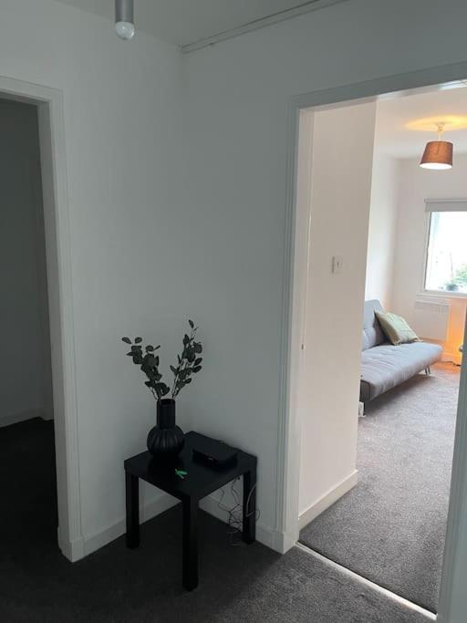 Modern 2 Bedroom City Apartment 格拉斯哥 外观 照片