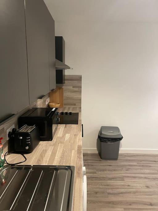 Modern 2 Bedroom City Apartment 格拉斯哥 外观 照片